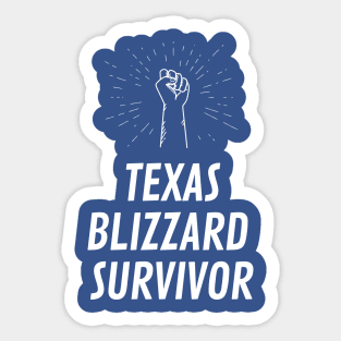 Texas Blizzard Survivor Sticker